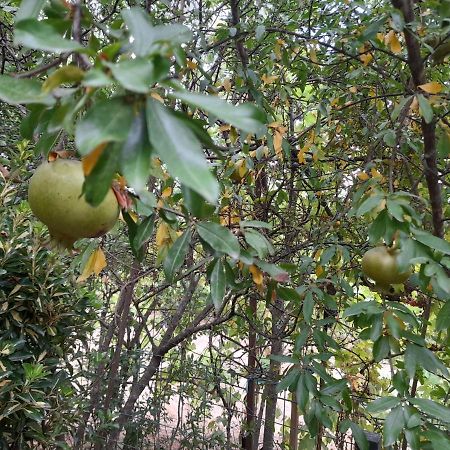 Camping Late Ξενοδοχείο Αργυρόκαστρο Εξωτερικό φωτογραφία