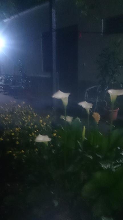 Camping Late Αργυρόκαστρο Εξωτερικό φωτογραφία
