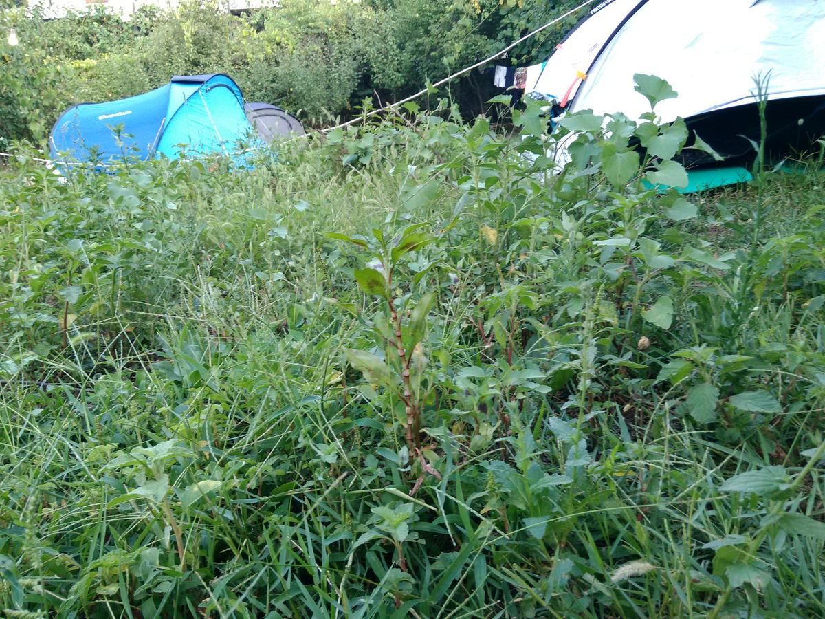 Camping Late Αργυρόκαστρο Εξωτερικό φωτογραφία